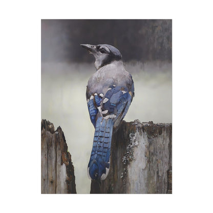 Nature-Inspired Bluejay Bird Wall Art Print