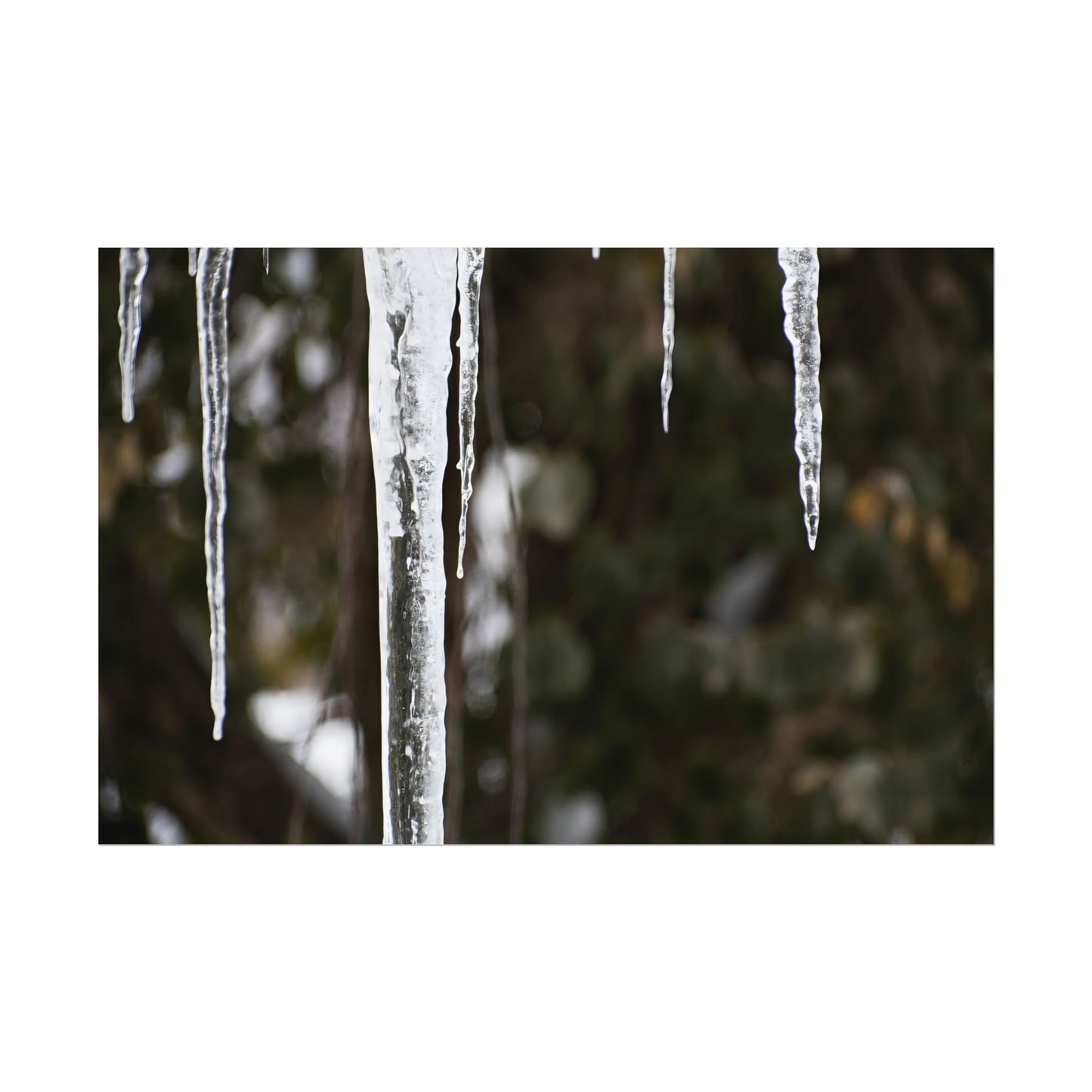 Winter Icicles Frozen Nature Wall Art Print