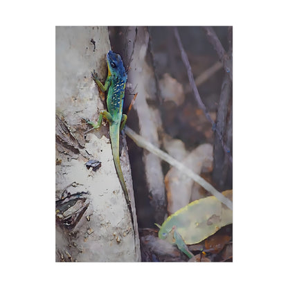Nature-Inspired Colorful Tropical Lizard Wall Art Print