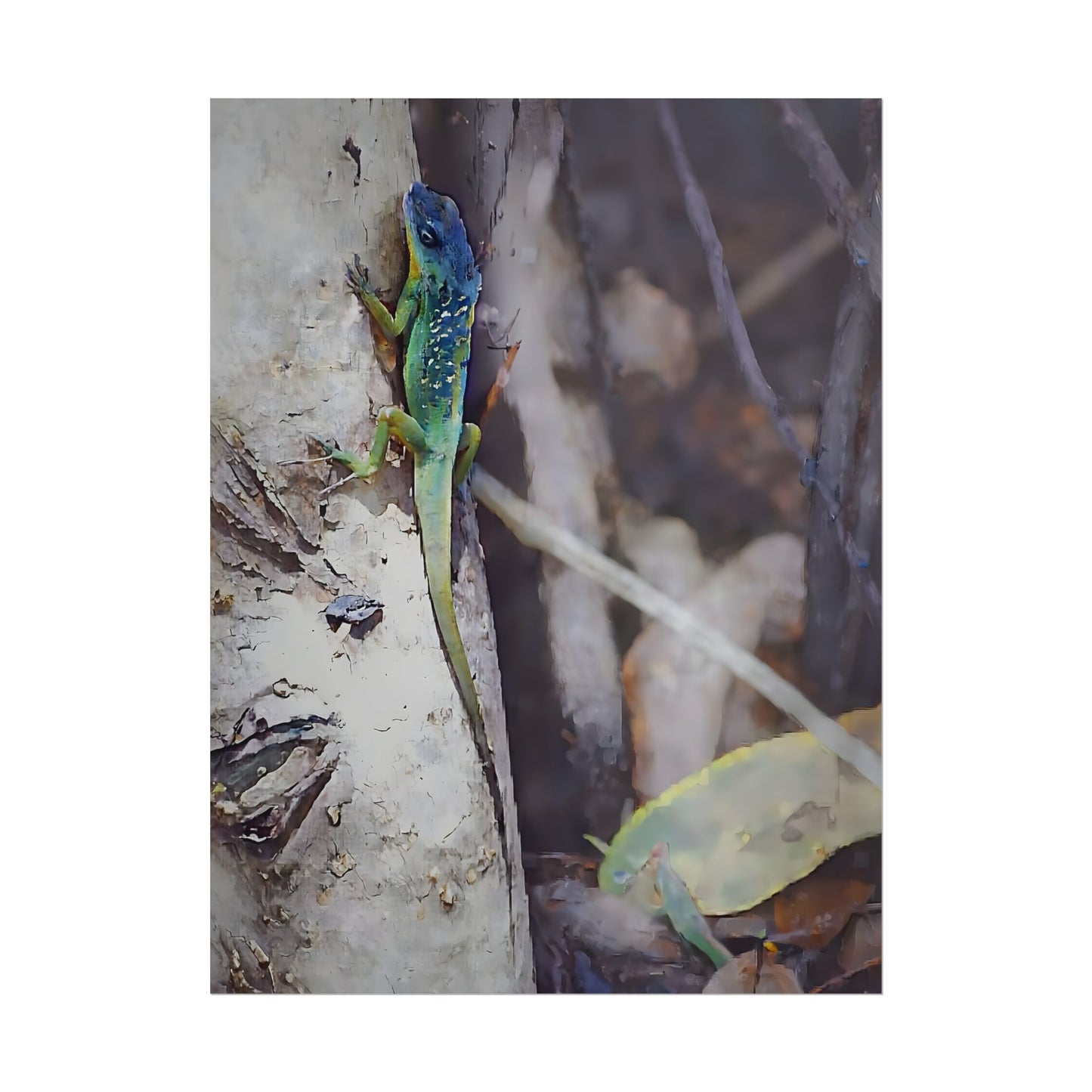 Nature-Inspired Colorful Tropical Lizard Wall Art Print