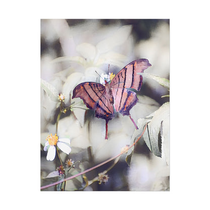 Nature-Inspired Orange Butterfly Wall Art Print