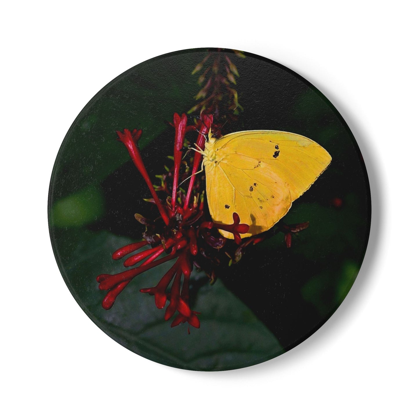 Nature-Inspired Yellow Butterfly Collectible Ceramic Drink Coaster, 1 Piece