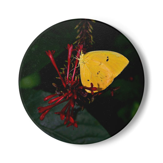 Nature-Inspired Yellow Butterfly Collectible Ceramic Drink Coaster, 1 Piece