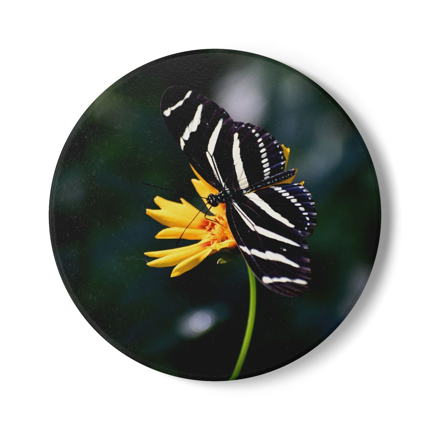 Nature-Inspired Butterfly Collectible Ceramic Coaster, 1 Piece