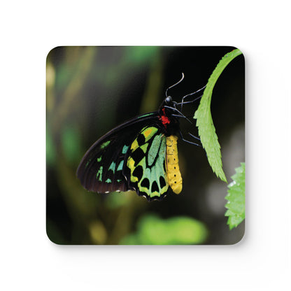 Colorful Butterfly Cork Coasters - Square Nature-Inspired Drink Coasters (4-Piece Set)