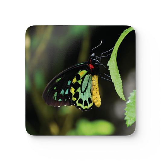 Colorful Butterfly Cork Coasters - Square Nature-Inspired Drink Coasters (4-Piece Set)
