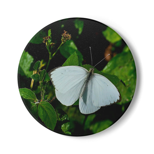 Nature-Inspired White Butterfly Collectible Ceramic Coaster Set, 1 Piece