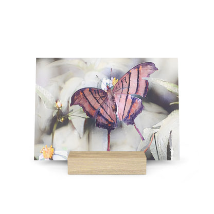 Orange Butterfly Photo Gallery Board with Wooden Stand — Mini Nature Desk Art (Additional Sizes)
