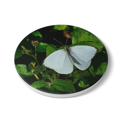 Nature-Inspired White Butterfly Collectible Ceramic Coaster Set, 1 Piece
