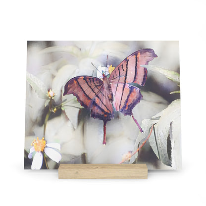 Orange Butterfly Photo Gallery Board with Wooden Stand — Mini Nature Desk Art (Additional Sizes)