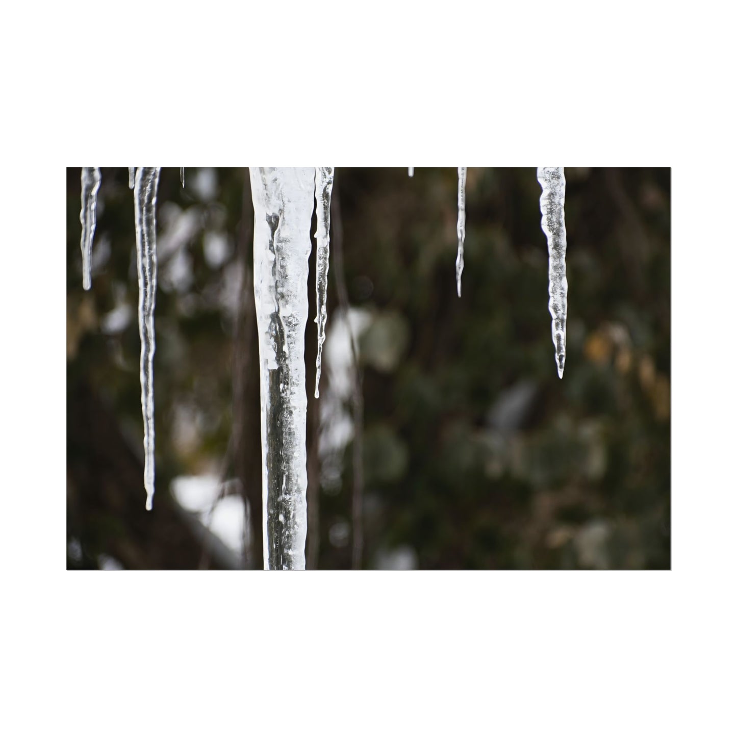 Winter Icicles Frozen Nature Wall Art Print