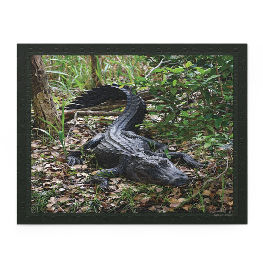 Wild Florida Alligator Nature Puzzle — Wildlife Photo Jigsaw (120/252/500 Piece)