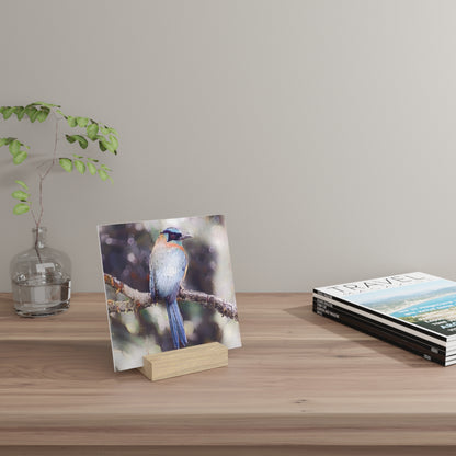 Artistic Tropical Bird Photo Gallery Board with Wooden Stand — Mini Nature Desk Art (Additional Sizes)
