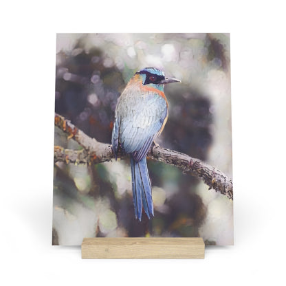 Artistic Tropical Bird Photo Gallery Board with Wooden Stand — Mini Nature Desk Art (Additional Sizes)