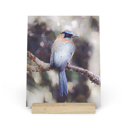 Artistic Tropical Bird Photo Gallery Board with Wooden Stand — Mini Nature Desk Art (Additional Sizes)